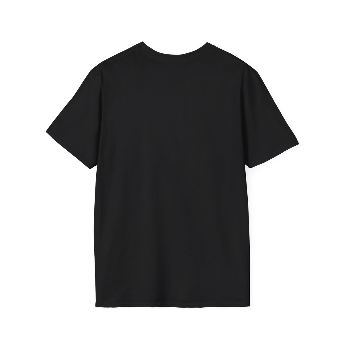 Raccoon Illustration T-Shirt — Smoky Woodland Graphic Tee
