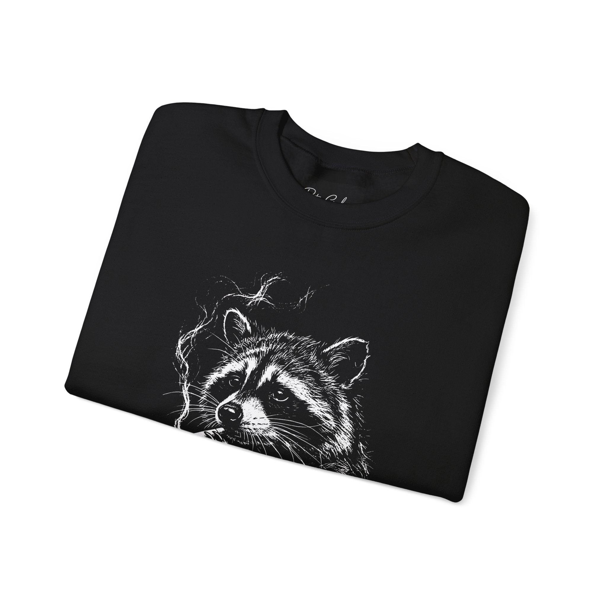 Raccoon Sketch Sweatshirt